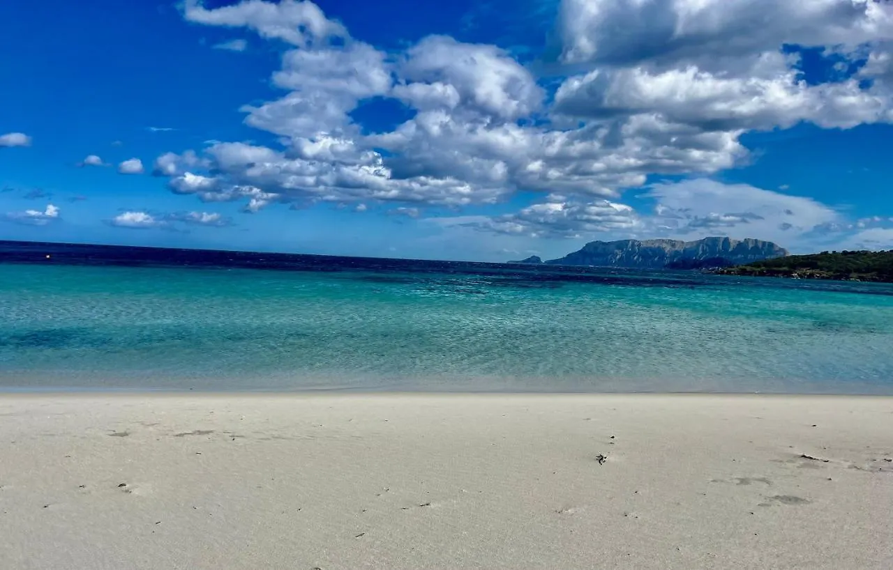 Hotel Stefania Boutique Hotel By The Beach Olbia